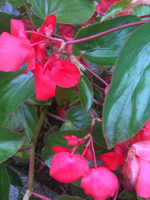 76FD107C-4AD9-4084-8692-91A1A8169C01