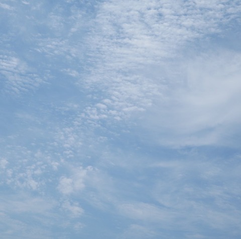 9C841948-130F-45E7-B180-83420F561487