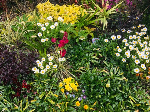 7D426544-EF31-43CC-9B67-47D1C90B3AD3