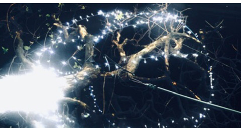 77F855F1-8ED2-440F-89C7-BFB436D83AA4