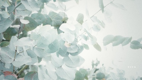 D41F08D9-5D76-4934-80EC-6DA2F10E407C