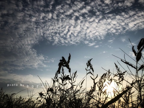 5979A224-CC2B-4518-8225-227EFBAE1737