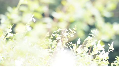 A9936D9A-4F3E-4E65-A4FC-4CCC4D7C876C