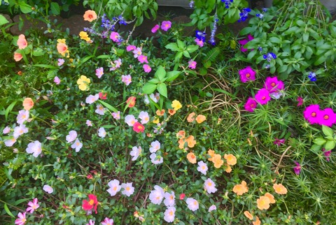 C36F4100-67EB-491B-8921-CE5FE8EF47CE