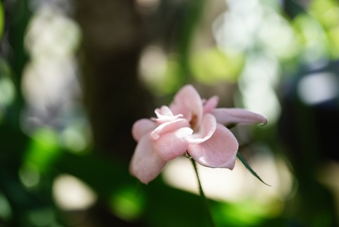 2E39F177-0063-4C09-8566-86F9AF7A13F2