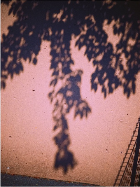 8D4A304D-944B-48AE-B759-56FDE13B0F8E