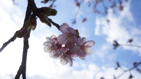 1705F5E6-1D08-4028-8C2E-65CD15E1EA5F