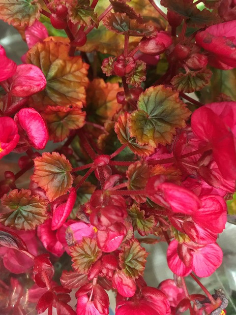 A081ED82-E723-4987-9DC3-7D5A3FB6DE91