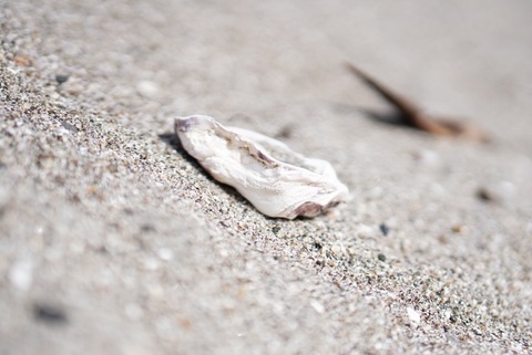 B3C8635C-1D38-4E90-9C29-62B337002877