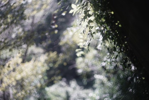 23B1F6DC-A736-4F23-B8DA-C41B498A2A7B