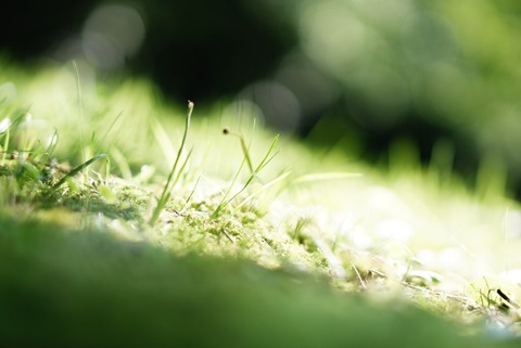 504A2783-BCD0-4BEE-AF4F-11F8D2826B01