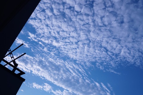 C49F2F7A-515F-43D9-A9D8-A3D72A101EBC