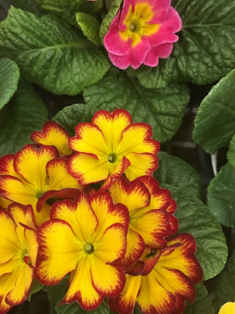 A9B47E72-952B-49D3-AAC4-631ACFD15672