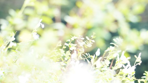 D6539AD3-011A-447A-AFBA-A8825141B4FC