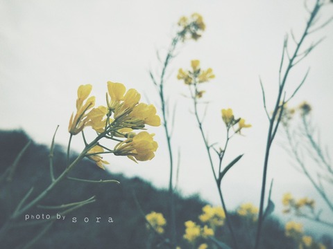 0556F659-50B5-4C49-A397-B1B29D32A22D