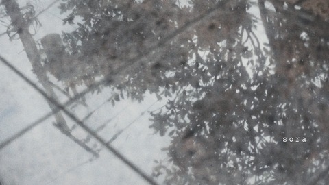 4F17FB4F-4EC3-4A0C-B6A6-0892150D2201