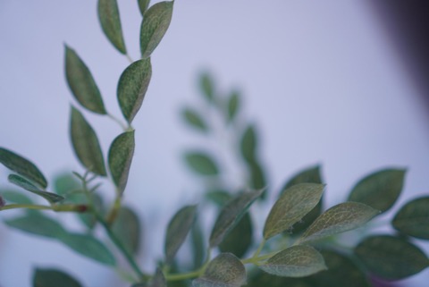 86E4F33B-41B5-4F9D-9107-46B47AF64F3D