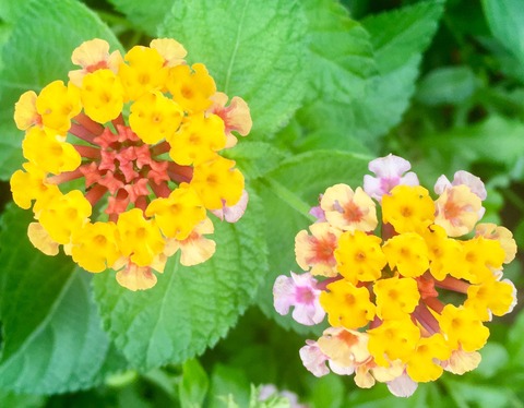 72B71E9C-1462-491D-9A12-6008C48F2A20