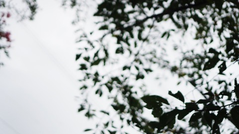 856FE119-A214-44B7-B253-BEC4D8451F99