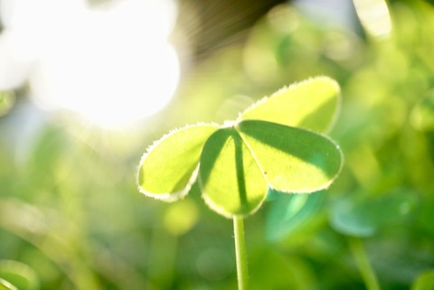 041F68E2-709E-4429-97BD-178C88638963