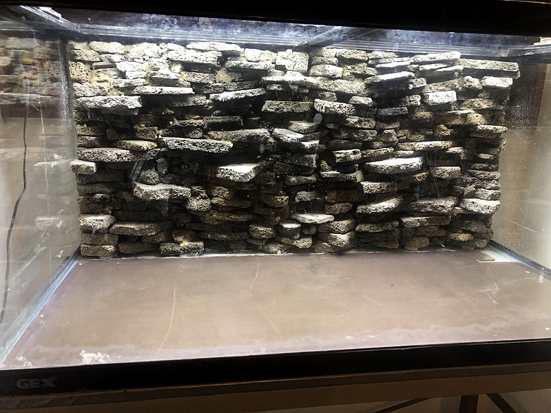 60cm水槽用 ウォールロック 水槽レイアウト 背面 【公式通販】