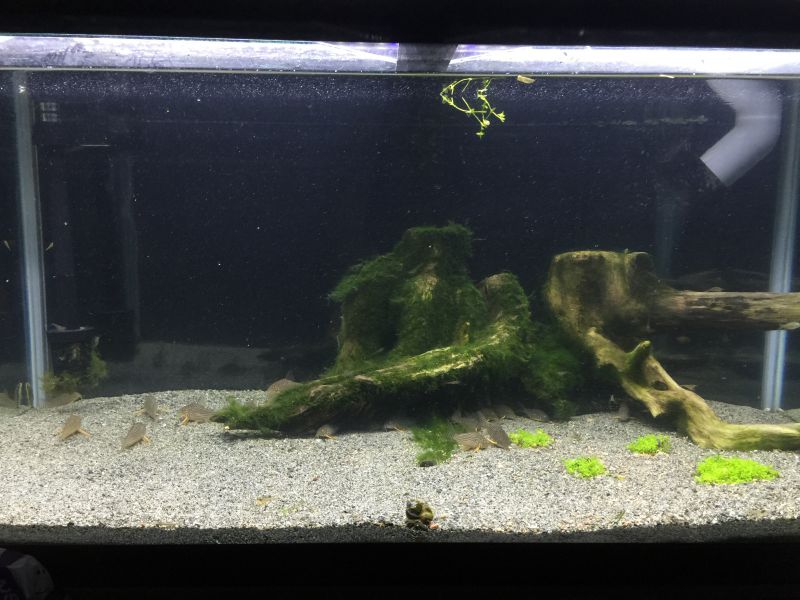 15年06月 まるそんphoto日記