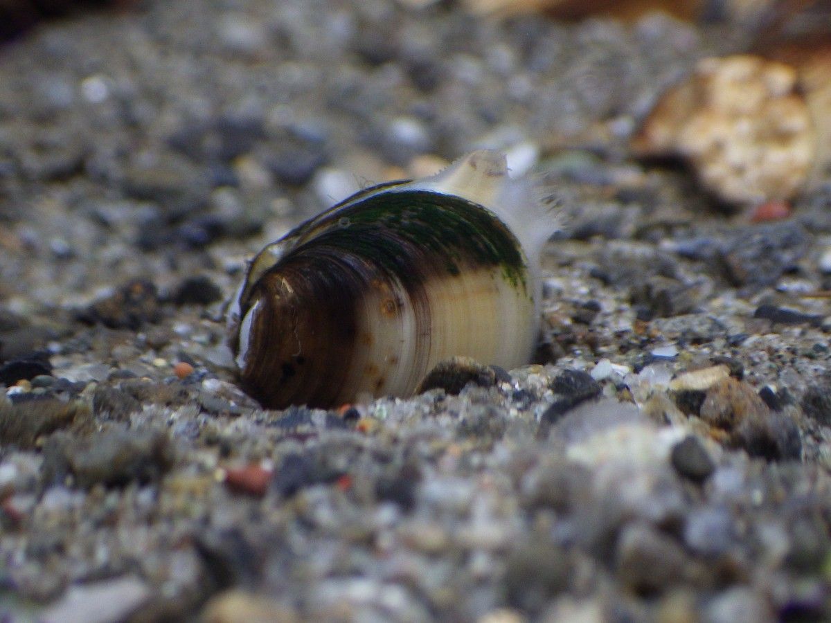 13年09月 まるそんphoto日記