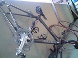 Madone洗車