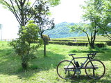 春、Madone。