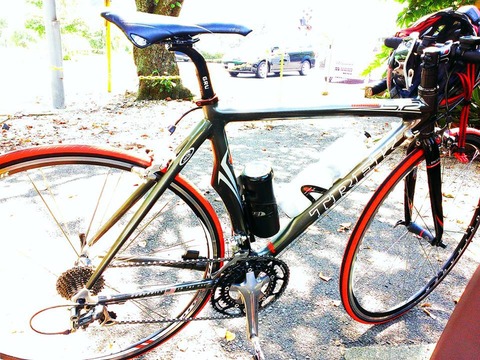 madone at Yasuno 20130814