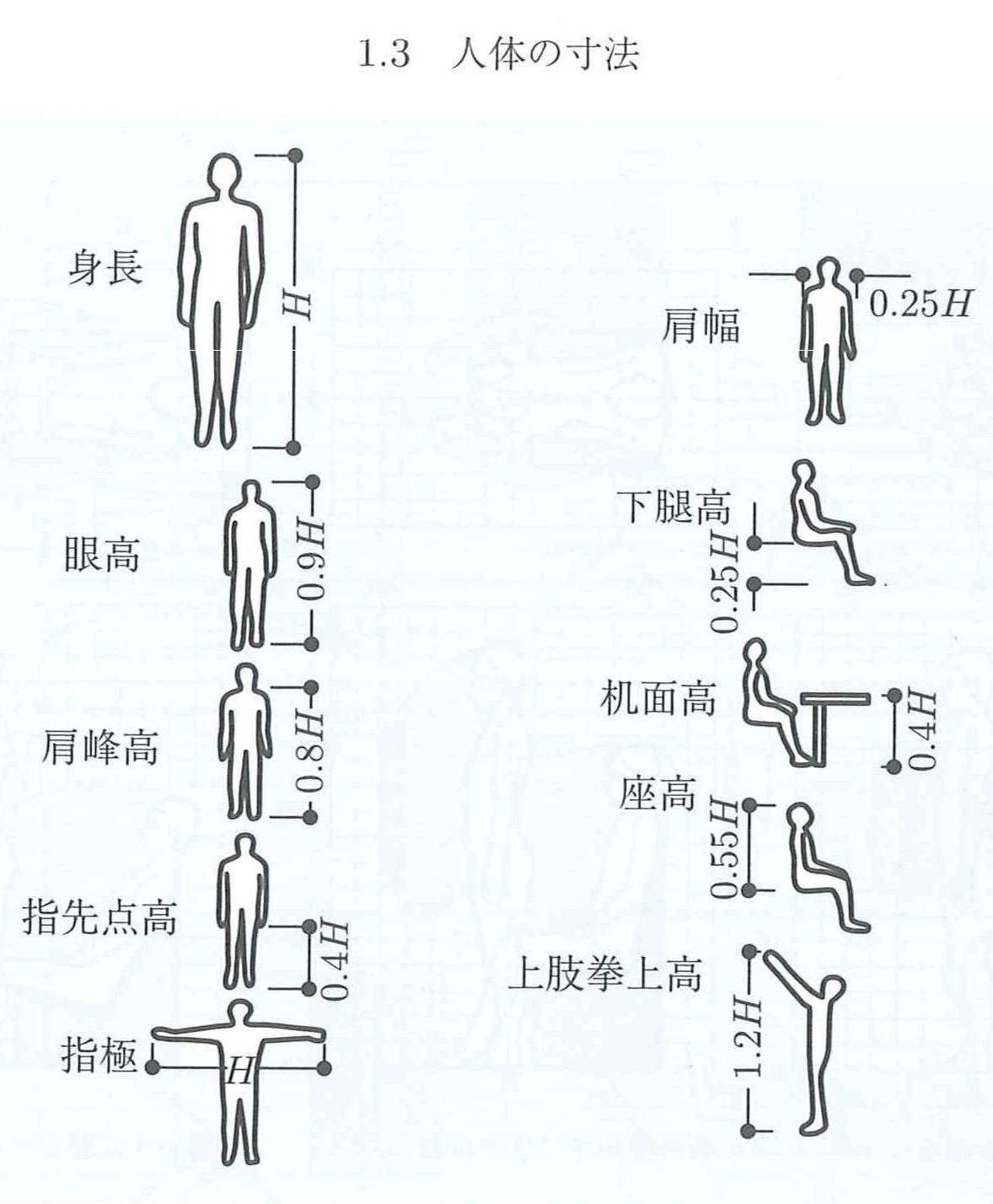 人体寸法と統計 舟屋の商売 10