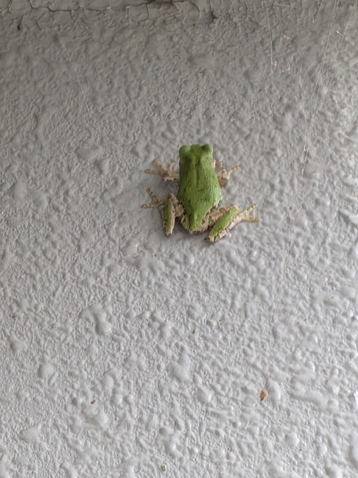 暑くなってきましたね！