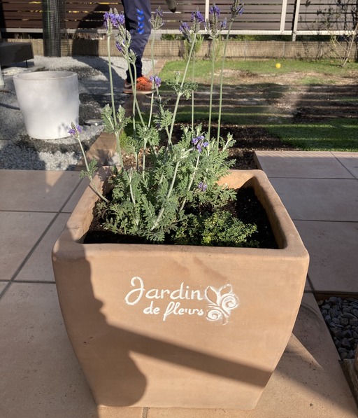 ゴールデンウィーク