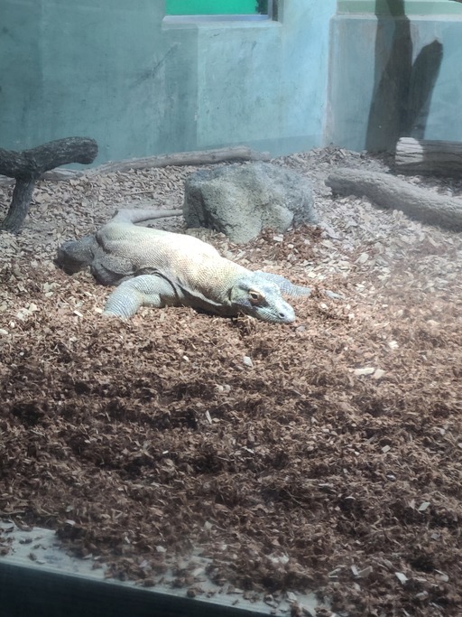 暑くなってきました☀️