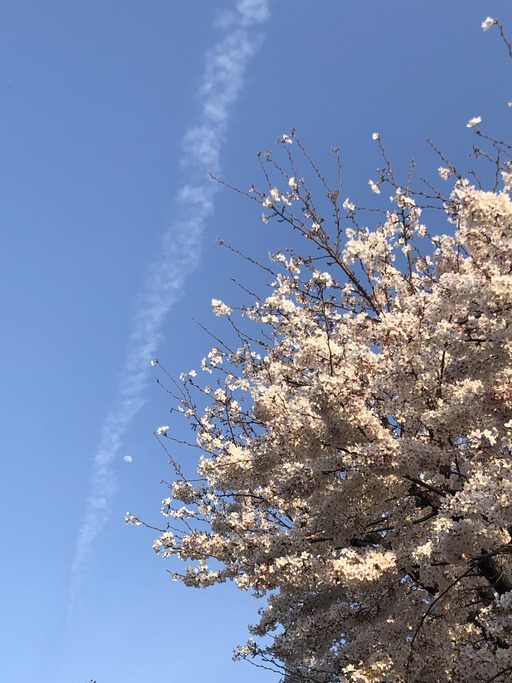 診療時間のお知らせ