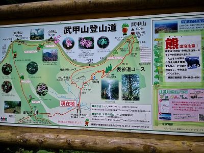 IMG_20190608_132845
