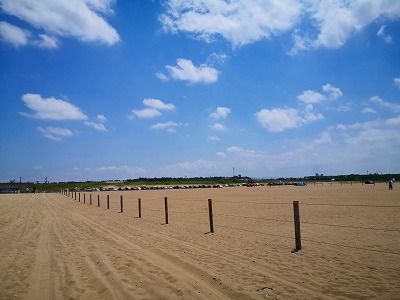 IMG_20190811_121652