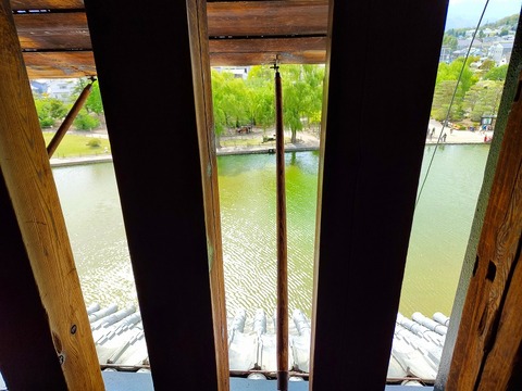 IMG_20230429_142139650