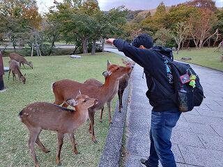 IMG_20231021_171154171