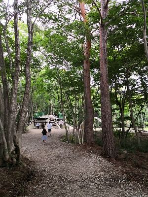IMG_20180814_175001