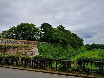 IMG_20190812_101151