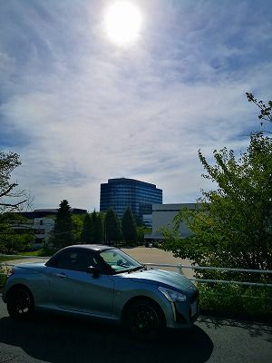 IMG_20190812_153138