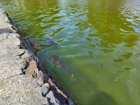 IMG_20230429_133045029