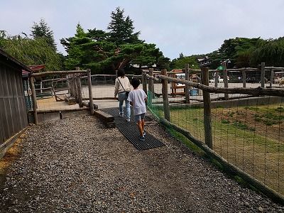 IMG_20180815_085649