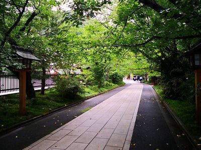 IMG_20190714_144827
