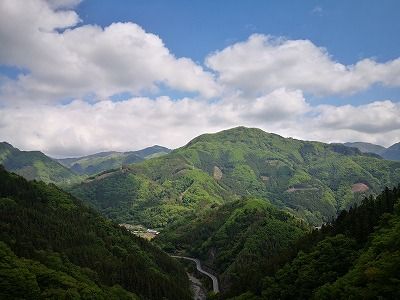 IMG_20190519_092843