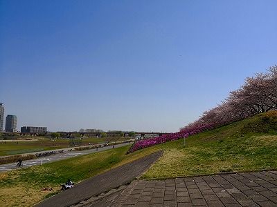 IMG_20180331_104015