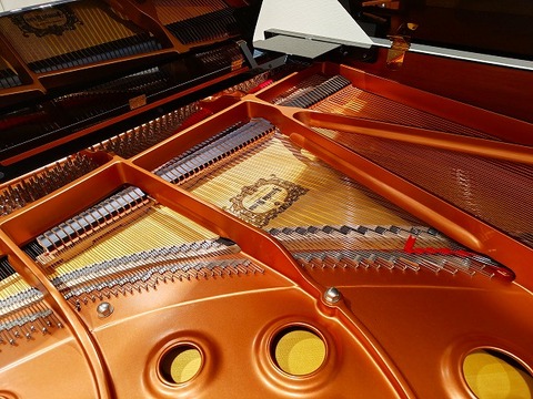 IMG_20241223_090255109