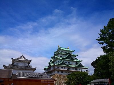 IMG_20190812_102255