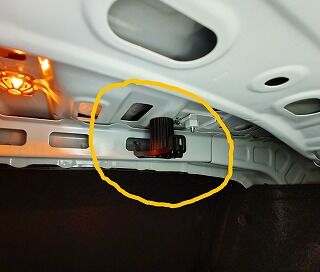 IMG_20250113_162746276